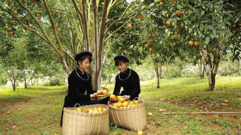 Đươi dua khoa học lâng công nghệ moot  pa dưr zr’lụ đha nuôr acoon coh lâng da ding ca coong