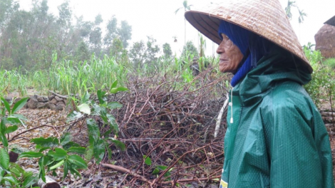 K’rang lêy pr’ắt tr’mung đoọng ha đhanuôr xang g’lúh boo đhí túh bhlong