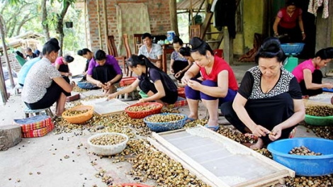 Sơn La t’bhlâng pa dưr p’xoọng 35 bh’nơơn OCOP