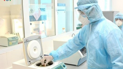 WHO moon ooy chủng virus âng zâp cha nặc crêê pr’lúh t’mêê đhị Đà Nẵng