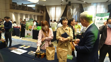 P’cắh xa nay bh’rợ Zooi zúp đhanuôr-pazưm têy tu bh’nơơn pr’đươi Việt