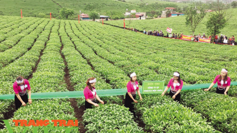 Hội nghị bhrợ k’rơ bh’rợ bhr’lậ cớ nong nghiệp apêê tỉnh Trung du lâng da ding k’coong n’đăh Bắc