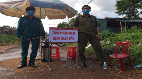Đắk Nông: Bạch hầu dưr vaih k’rơ, đợ manuyh t’mêê crêê dưr bâc lâh mơ