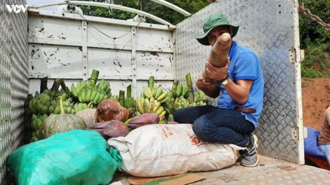 Đhanuôr Nam Trà My zooi zúp đồng bằng k’noọ 8 tấn ch’na đh’nắh zêl cha groong Covid-19