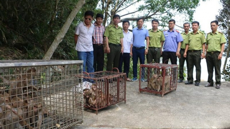 K’đhơợng lêy bh’rợ pa câl, câl đươi ađhăh crâng k’coong