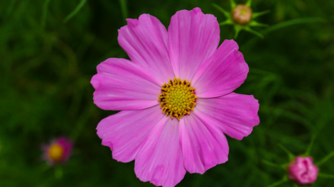 T’RUIH T’NGAY 06-02- 2020