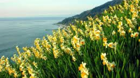 T'RUIH PA XUL T'NGAY 4/5/2020