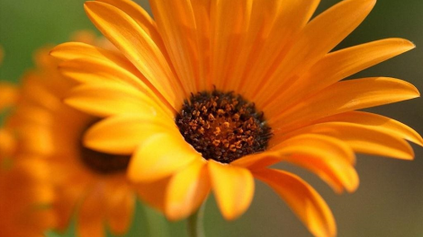 T'RUIH T'NGAY 29/2/2020