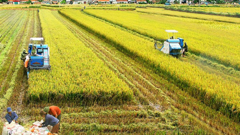 Rơơm kiêng ha dưr lâh mơ dzợ âng bh’rợ bhrợ têng ha rêê đhuôch c’moo 2020
