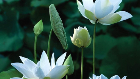 T’RUIH T’NGAY 22-7- 2020