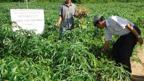 Liêm choom bh’rợ choh đh’rưah tơơm tâm phóc lâng tơơm arong