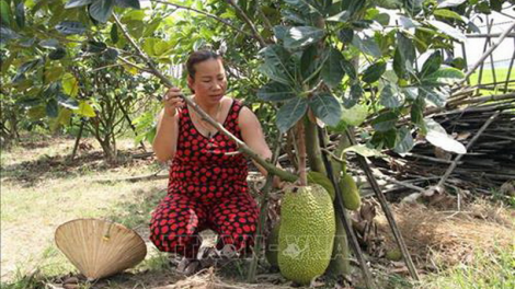Tr’xăl k’tiêc choh ha roo căh liêm choom dzang choh tơơm cha p’lêê