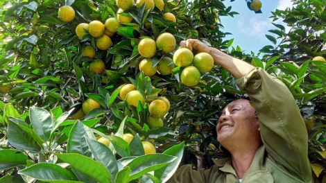 Đhanuôr bhrợ ha rêê đhuốch bhrợ t’vaih cr’van cr’bhộ, bhrợ têng bhươl cr’noon t’mêê