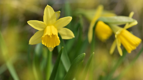 T'RUIH PA XUL T'NGAY 18/10/2020