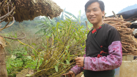 Tráng A Chu lâng bh’rợ  bhrợ pa dưr ca van tợơ bh’rợ công nghiệp doó g’doóc