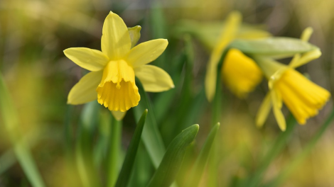 T'RUIH PA XUL T'NGAY 23-12