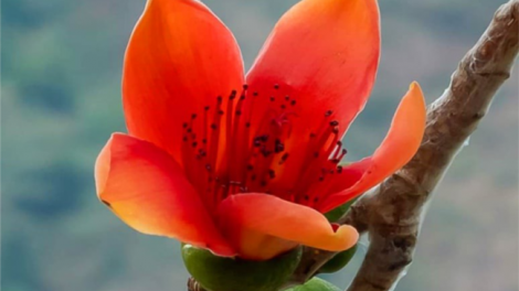 T’RUIH T’NGAY 09/12/2020