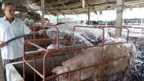 Bấc vel đông nắc dưr váih cớ pr’lúh pa zrúah a’ọc châu Phi