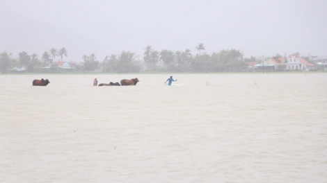 Phú Yên, 1 cha năc manuyh bil xang đhí a muốt số 12