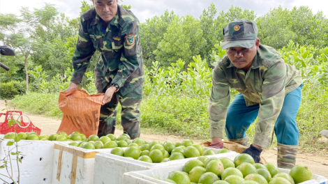 Quảng Nam: T’bhlâng bơơn cr’noọ bh’rợ pa xiêr đha rứt c’moo 2020