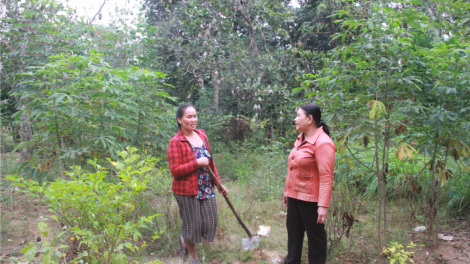 Quảng Nam: T’bhlầng đươi dua pr’đươi pr’chăp  bhrợ khoa học zr’lụ đhanuôr acoon coh lâng da ding ca coong