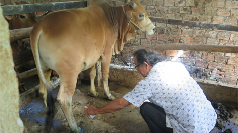 Quảng Ngãi: Đơơh hân vêy 20 r’bhâu liều vắc xin bhih buunh boóp tr’plooc chr’coop