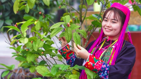 Quảng Ninh: G’luh tr’nợơp  bhrợ têng bhiệc bhan Bàn Vương âng ma nuyh Dao