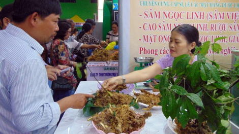 Sâm Ngọc Linh đoo bêl doọ dzợ vêy ta pa dzooc chr’năp?