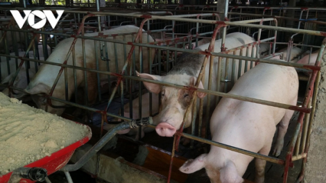 Xang pr’luh pa zruah a ọc Châu Phi: bhrợ pr’đơợ đoọng ha đhanuôr vặ zên băn cớ a ọc