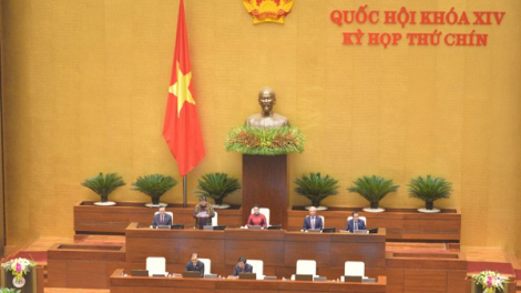 Pa dưr râu chuyên nghiệp coh bh’rợ âng Quốc hội