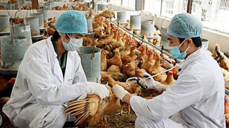 Bhrợ têng liêm ma mơ zâp c’lâng bh’rợ zêl cha groong pr’lúh a’tứch a’đha