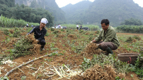 Xay bhrợ đhậu bhưah xa nay bh’rợ thi đua prang k’tiêc k’ruung pazum têy tu manuyh đharựt
