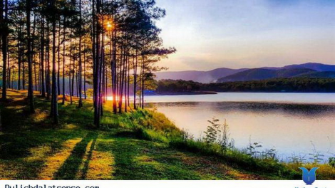 Nghiêng nghiêng rừng chiều