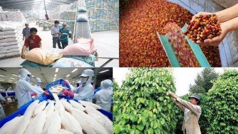 440 tỷ đồng zooi hợp tác xã pa dưr zr’lụ choh chr’noh chr’bếêt