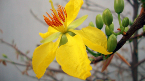 T'RUIH T'NGAY 20-2-2021