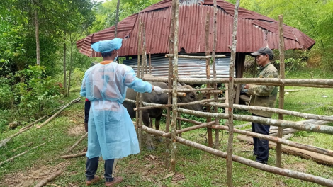 Chr’hoong Tây Giang-Quảng Nam k’rong pazưm zêl cha groong pr’lúh cr’ay hân noo ha ọt đoọng ha ta rí k’roóc