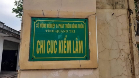 Kiểm lâm Quảng Trị ton ch’chơơr bhrợ t’vaih pay lâh 1 tỷ đồng ngân sách