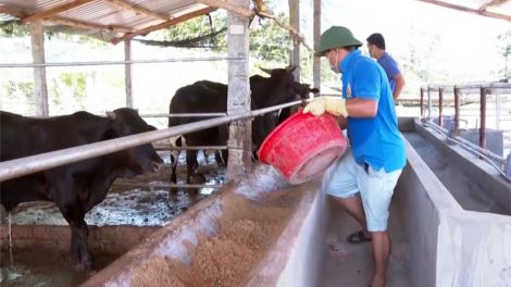 T’bhlâng pa xiêr 10% đợ mơ zên vă Quỹ zooi đha nuôr bhrợ ha rêê đhuôch