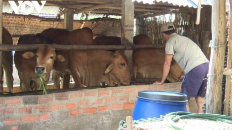 Phú Yên: Đợ bơơn ta tiêm văc xin đệ, pr’luh bhih bum chr’coop dưr k’rơ