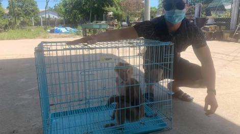 Pa đơp đoọng muy p’nong bhọt arâl ăt coh bha ar bhrôông Việt Nam