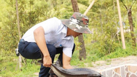 Băn axiu tầm- c’lâng pa dưr kinh tế t’mêê đoọng ha đhanuôr acoon coh da ding k’coong A Lưới, tỉnh Thừa Thiên Huế