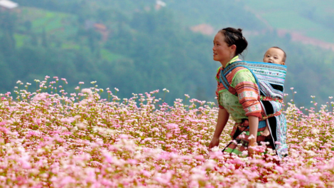 Lời cầu hôn trên nương