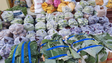 Quảng Nam - Đà Nẵng một khúc ca