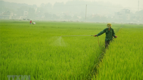 Bơơn lêy đấh, zêl cha groong g’rưy bhrợ pa hư hi la