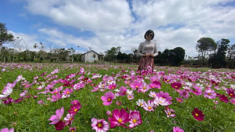 T'RUIH T'NGAY  26-6-2021