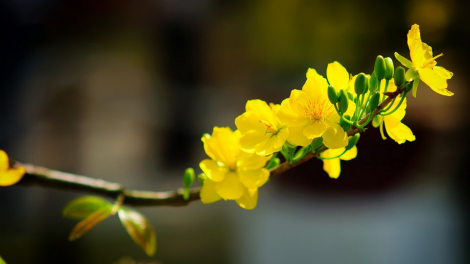 T'RUIH PA XUL T'NGAY 21/3/2021