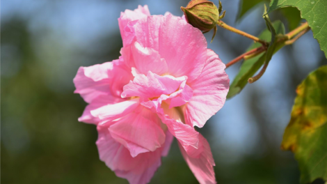 T'RUIH PA XUL T'NGAY 06/3/2021