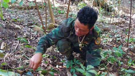 Cựu chiến binh ma nuyh Xê Đăng bhrợ cha choom