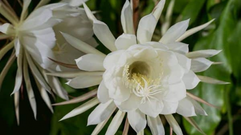 T'RUIH PA XUL T'NGAY 14/10/2021