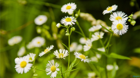 T'RUIH PA XUL T'NGAY 15/10/2021